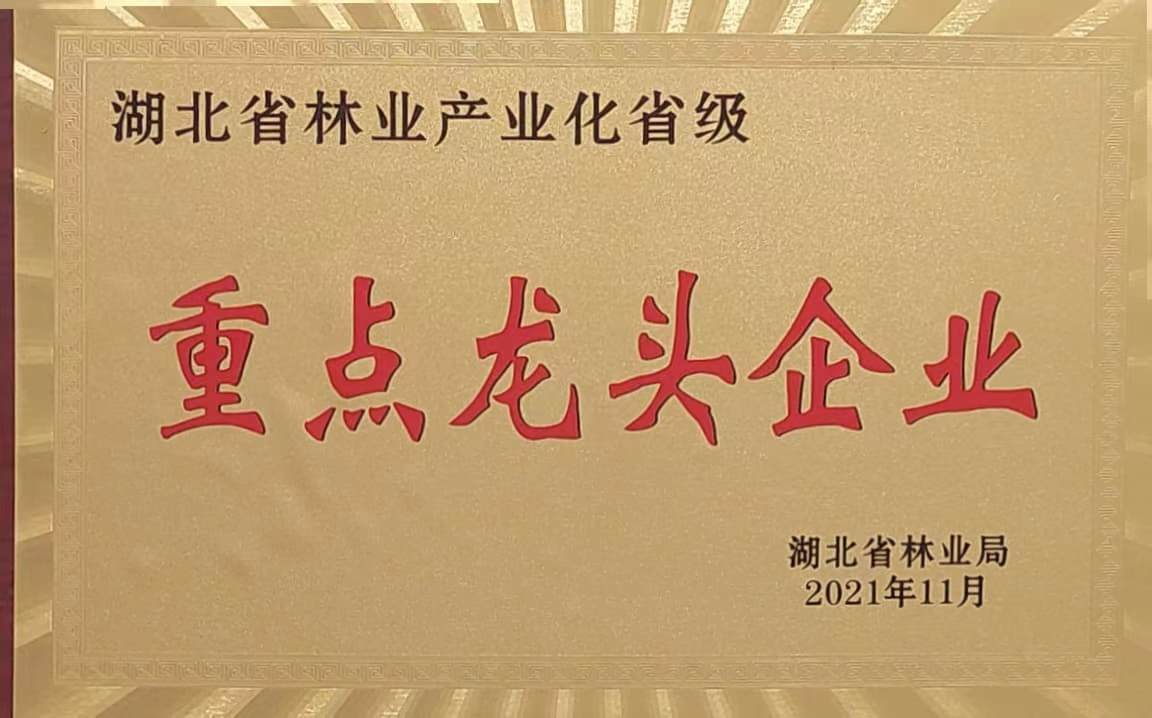 省林業(yè)產業(yè)化重點龍頭企業(yè)（2021.11）.jpg